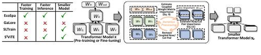 EcoSpa coupled-sparsity training overview